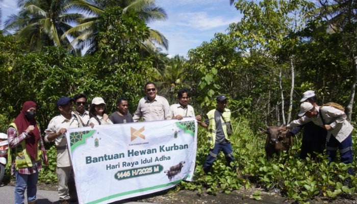 Tebar Kurban BKM 2025